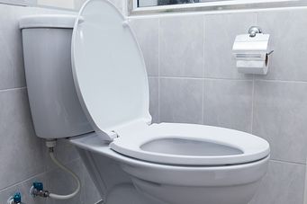 Pressure-assist toilets largely resolve high water consumption issues.