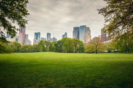city skyline
