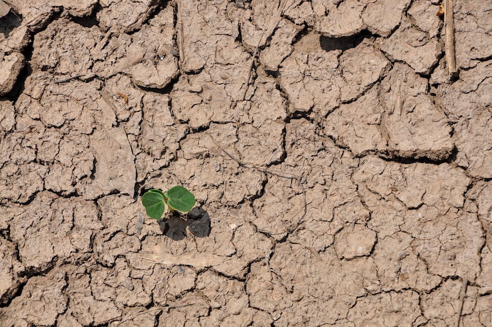 California Water Restrictions & Drought