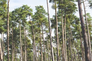 Environmental Benefis 
