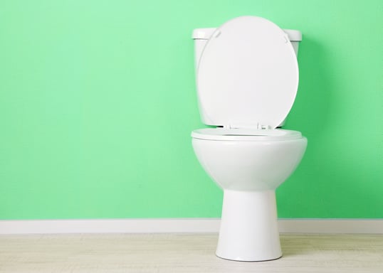 how to fix a toilet that won't flush
