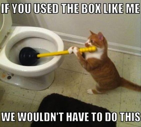 Meme Cat Plunger