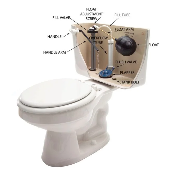 toilet dish and its internar parts