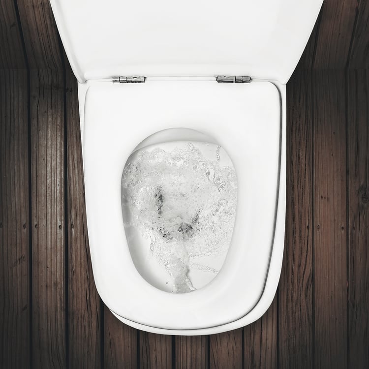 What_Happens_When_You_Flush_a_Toilet