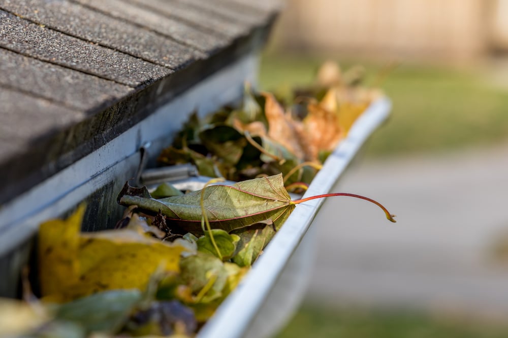 clogged gutter