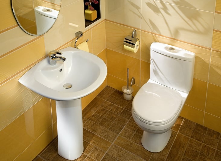 toilet in sacramento home bathroom