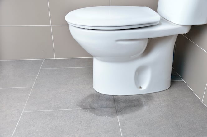 What Is a Water Closet and Why It Is and Is Not a Bathroom - eXp