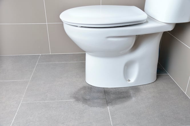 6 Steps To Fix A Toilet Leaking At The Base Prevention Tips - Public Bathroom Sink Water Pipe Leaking From Wall Connections