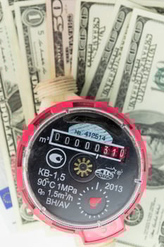 How much are you spending every month on water?