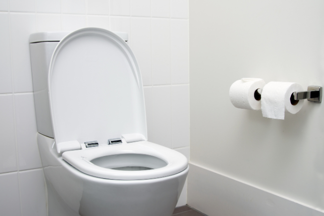 whistling_toilet