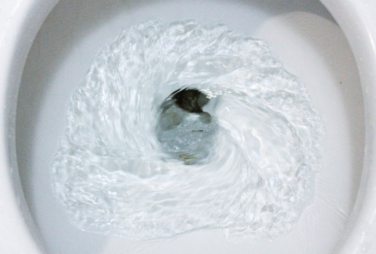 toilet sewer backup