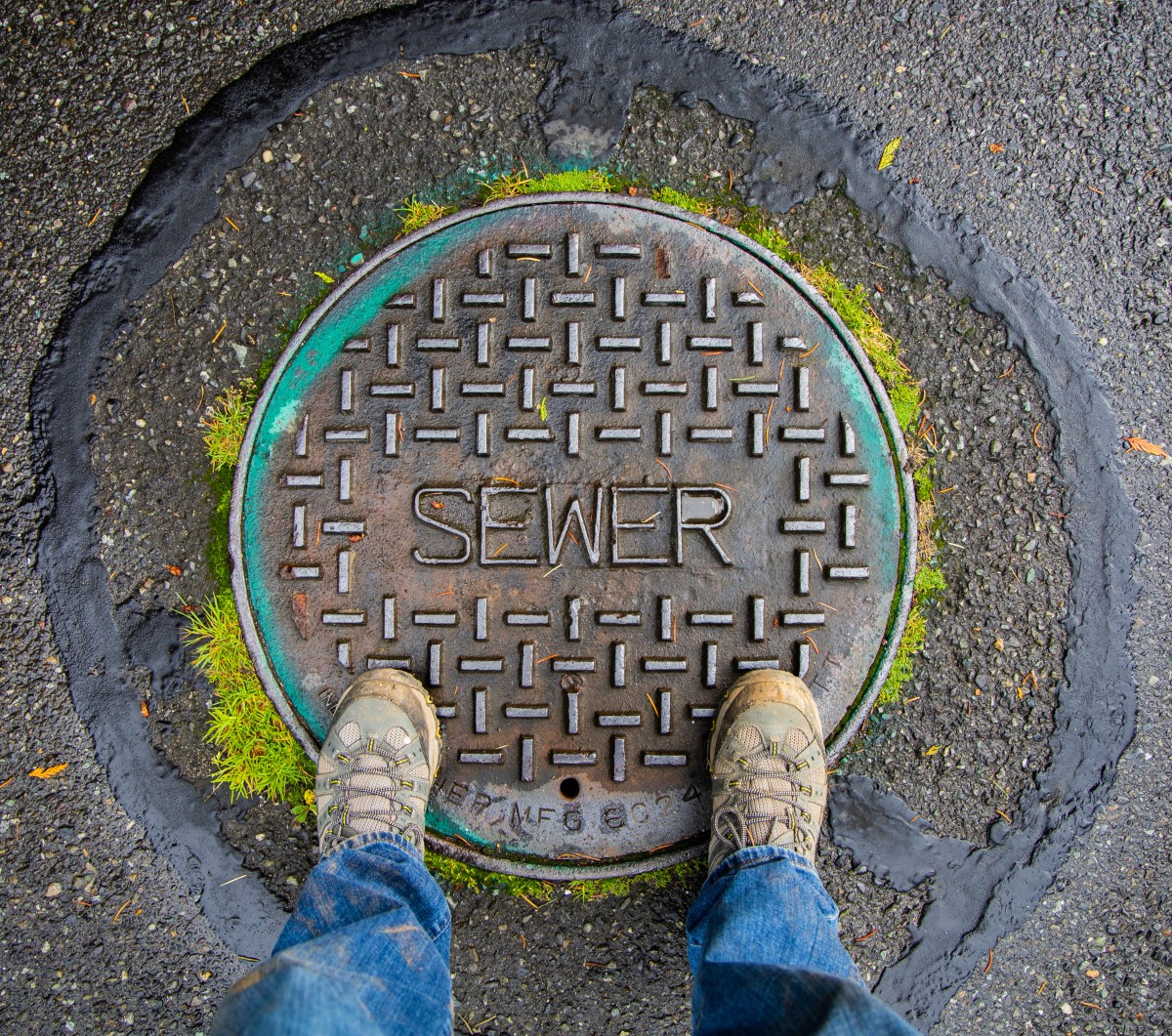Your city is responsible for problems with the main sewer line.