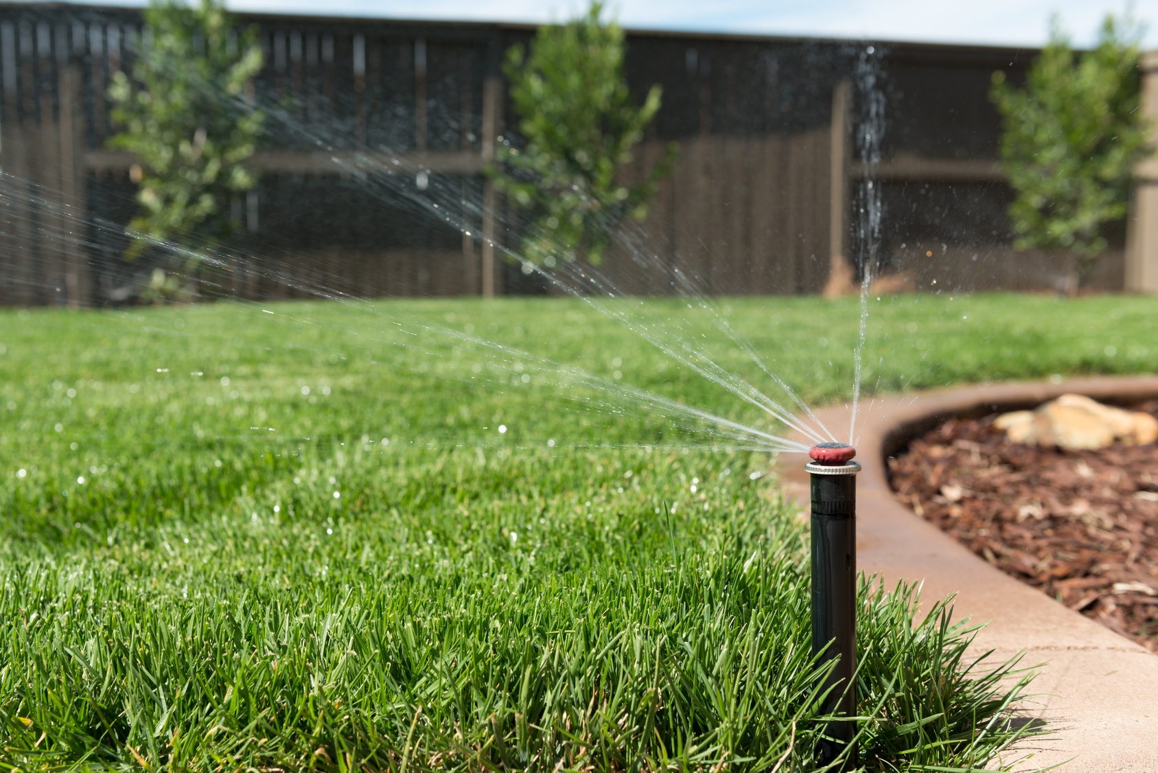 StepbyStep Guide to Repairing a Sprinkler Head or Line