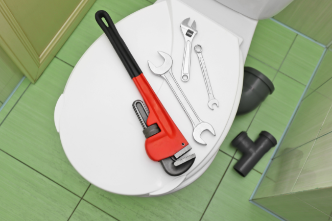 toilet seal
