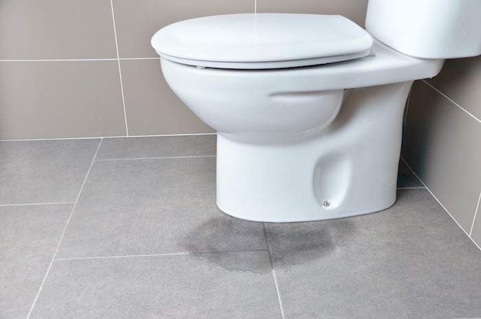 6 Steps To Fix A Toilet Leaking At The Base Prevention Tips - Public Bathroom Sink Water Pipe Leaking From Bottom